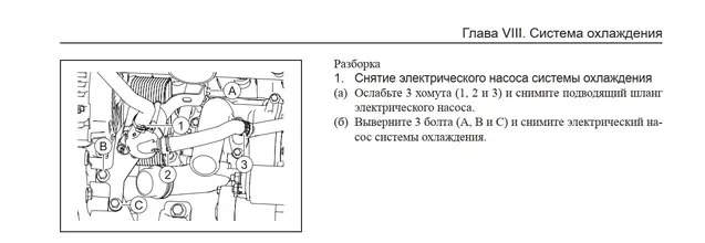 элнас2.webp