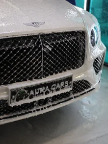 Bentley7.webp